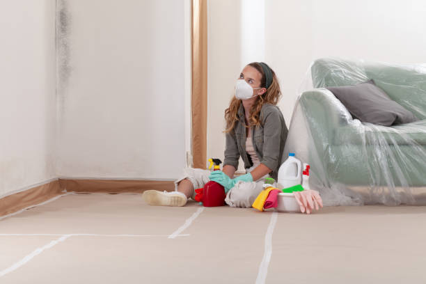 Reliable Commercial Mold Remediation contractor in Willowbrook, IL by WQB Mold Removal